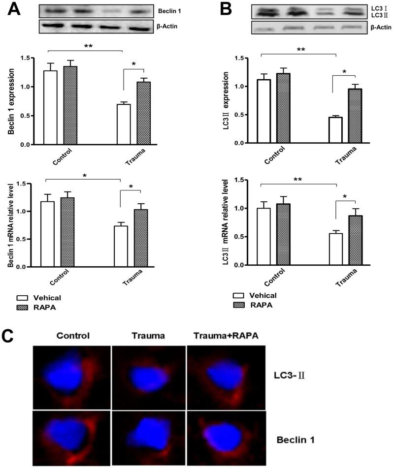 https://cdn.ncbi.nlm.nih.gov/pmc/blobs/788a/3747162/428a8792569d/pone.0071400.g003.jpg