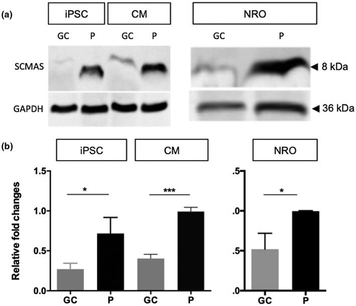 https://cdn.ncbi.nlm.nih.gov/pmc/blobs/788a/8104174/2601252fdebe/MGG3-9-e1601-g001.jpg