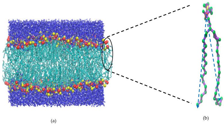 https://cdn.ncbi.nlm.nih.gov/pmc/blobs/788c/12194903/e8a48fed1edf/membranes-15-00161-g001.jpg