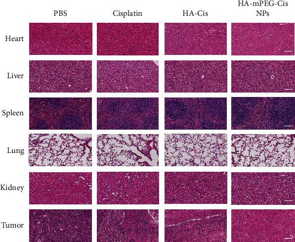 https://cdn.ncbi.nlm.nih.gov/pmc/blobs/788c/9410866/d19fdb1e8835/JIR2022-8023915.007.jpg