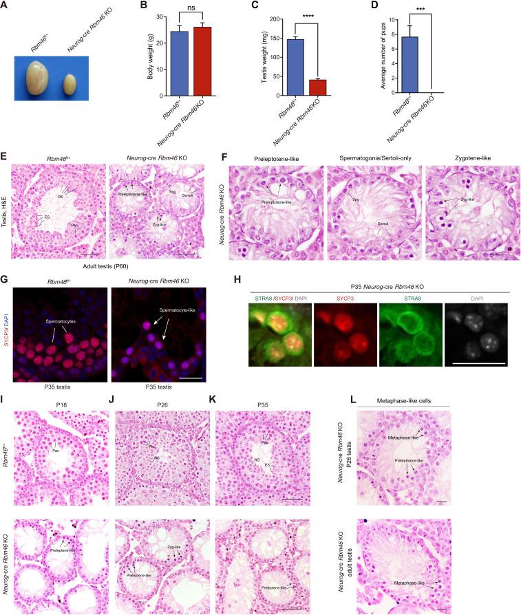 https://cdn.ncbi.nlm.nih.gov/pmc/blobs/788f/9401620/b2e36386af7c/sciadv.abq2945-f2.jpg