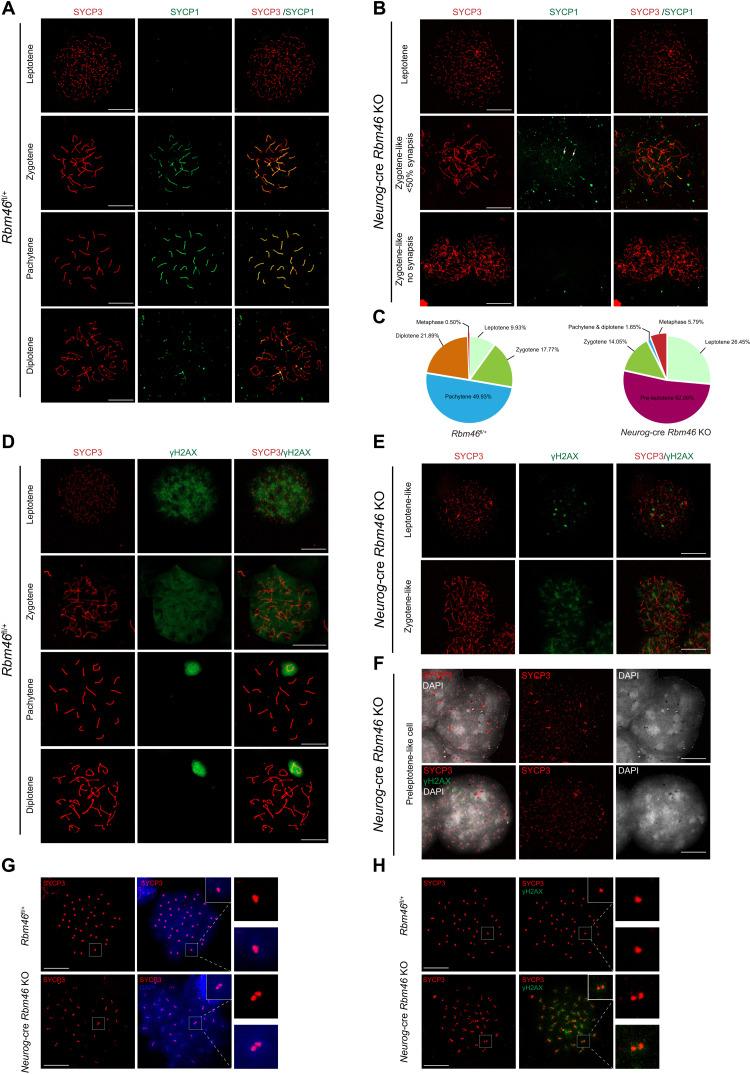 https://cdn.ncbi.nlm.nih.gov/pmc/blobs/788f/9401620/e0c75758ca81/sciadv.abq2945-f3.jpg