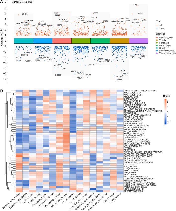 https://cdn.ncbi.nlm.nih.gov/pmc/blobs/7890/9523223/1d5df9299dcd/fgene-13-979829-g003.jpg