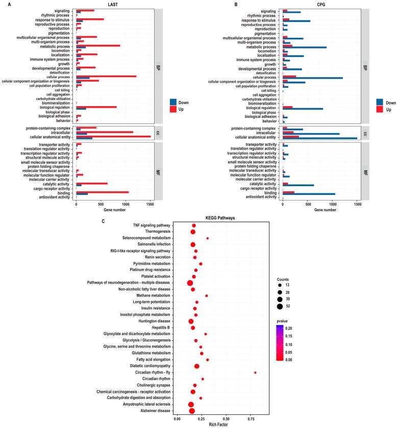 https://cdn.ncbi.nlm.nih.gov/pmc/blobs/7891/11047355/214573a10ee9/antibiotics-13-00352-g009.jpg