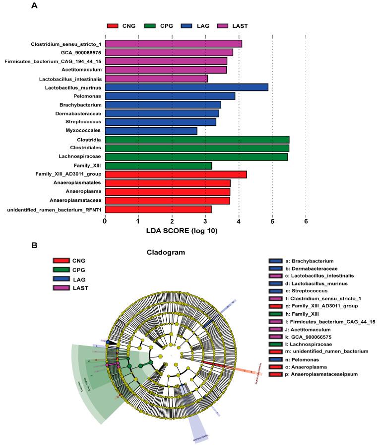 https://cdn.ncbi.nlm.nih.gov/pmc/blobs/7891/11047355/bc407b5d24a5/antibiotics-13-00352-g006.jpg