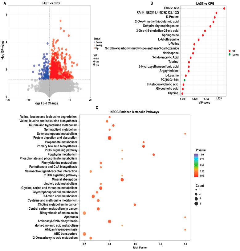 https://cdn.ncbi.nlm.nih.gov/pmc/blobs/7891/11047355/f18513aa1aa8/antibiotics-13-00352-g010.jpg
