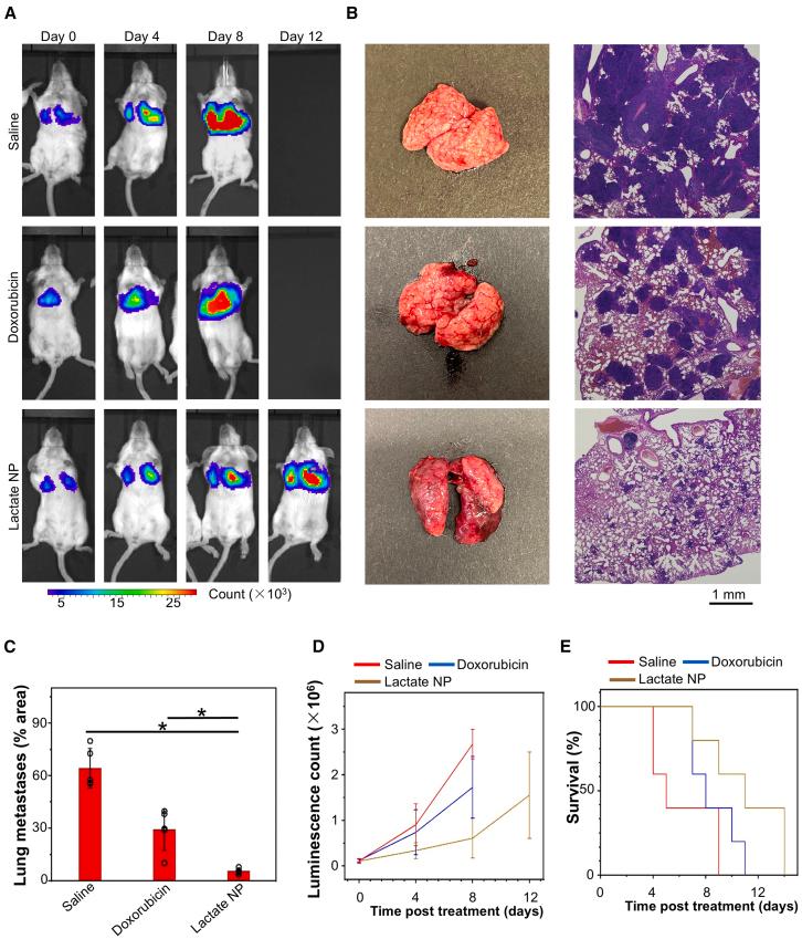 https://cdn.ncbi.nlm.nih.gov/pmc/blobs/7891/11866520/29894b5091e5/gr5.jpg