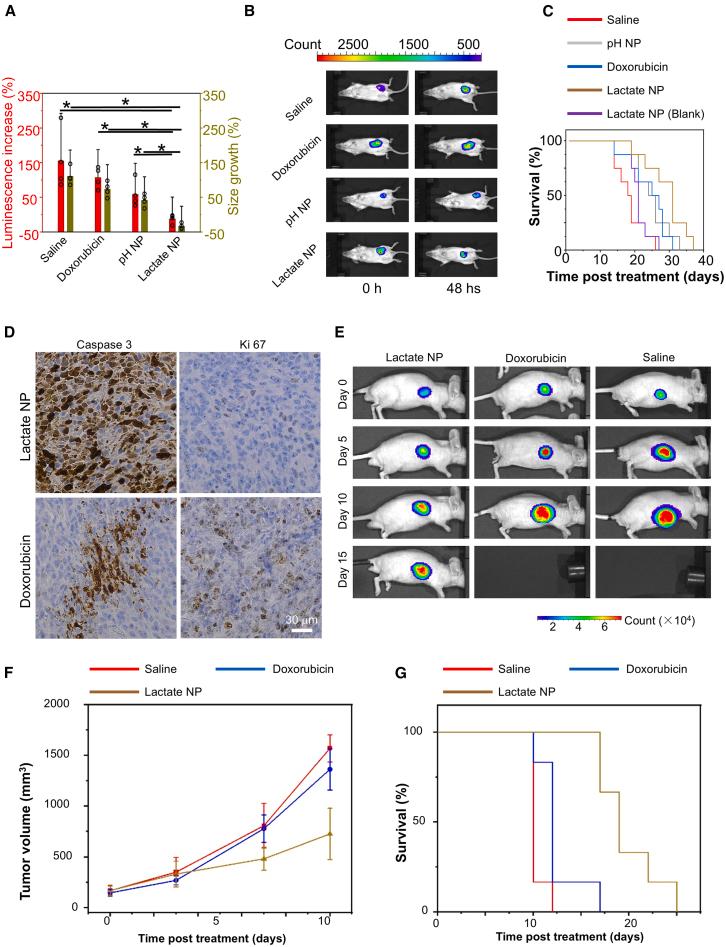 https://cdn.ncbi.nlm.nih.gov/pmc/blobs/7891/11866520/b245eee34157/gr4.jpg
