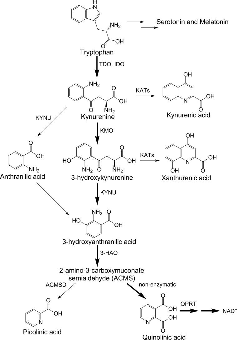 https://cdn.ncbi.nlm.nih.gov/pmc/blobs/7892/5748880/062af61bde25/CMC-24-2471_F1.jpg