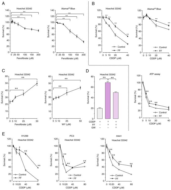 https://cdn.ncbi.nlm.nih.gov/pmc/blobs/7893/10272955/1a91c06ca22d/ol-26-01-13899-g00.jpg