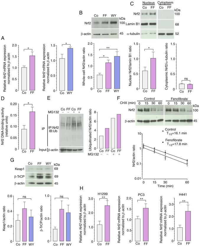 https://cdn.ncbi.nlm.nih.gov/pmc/blobs/7893/10272955/fb7c83230ab9/ol-26-01-13899-g04.jpg