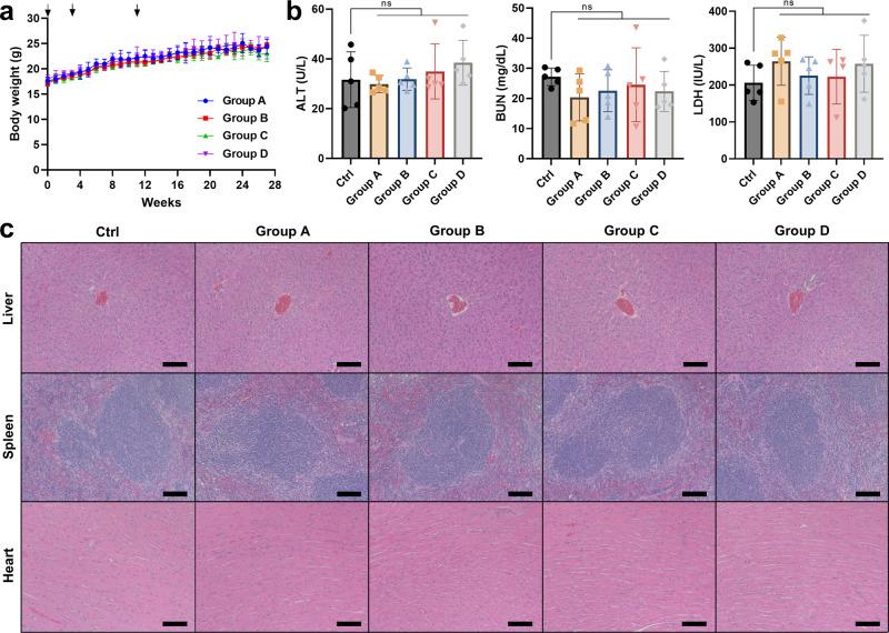 https://cdn.ncbi.nlm.nih.gov/pmc/blobs/7893/10891077/dd14672dc1e5/41541_2024_835_Fig4_HTML.jpg