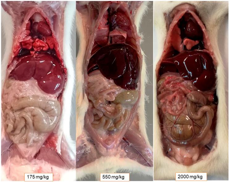 https://cdn.ncbi.nlm.nih.gov/pmc/blobs/7894/10454726/07be21d6a701/ijms-24-12812-g008.jpg