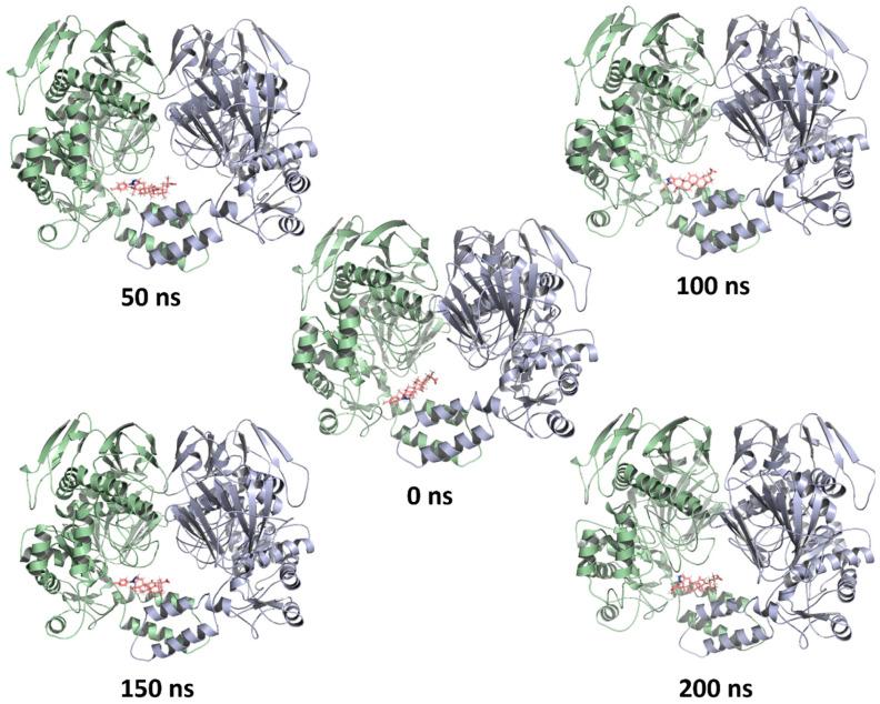 https://cdn.ncbi.nlm.nih.gov/pmc/blobs/7894/10454726/6c97417593a0/ijms-24-12812-g005.jpg