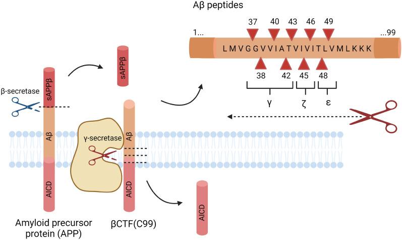 https://cdn.ncbi.nlm.nih.gov/pmc/blobs/7896/8725520/82579026f8a8/13578_2021_738_Fig2_HTML.jpg