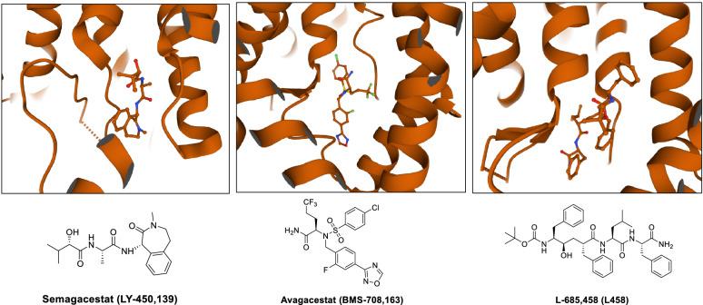 https://cdn.ncbi.nlm.nih.gov/pmc/blobs/7896/8725520/c3b54da0a828/13578_2021_738_Fig8_HTML.jpg