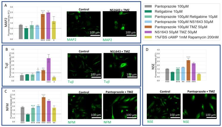 https://cdn.ncbi.nlm.nih.gov/pmc/blobs/7896/8946312/cd9c89ac39bb/cancers-14-01499-g011.jpg