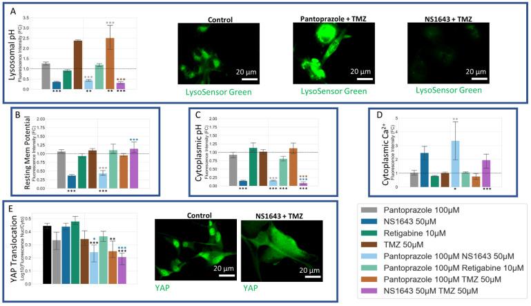 https://cdn.ncbi.nlm.nih.gov/pmc/blobs/7896/8946312/f0a038e4239b/cancers-14-01499-g015.jpg