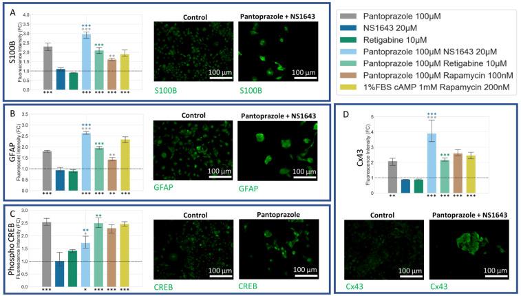 https://cdn.ncbi.nlm.nih.gov/pmc/blobs/7896/8946312/fb080495e882/cancers-14-01499-g009.jpg