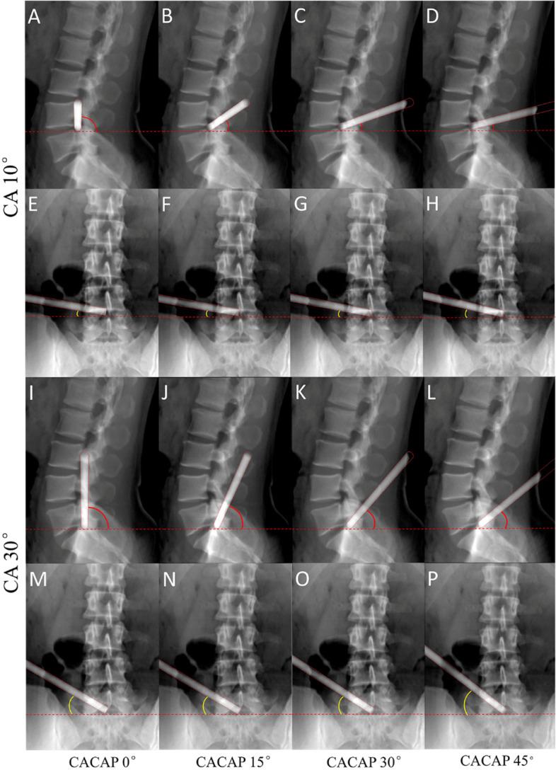 https://cdn.ncbi.nlm.nih.gov/pmc/blobs/7898/10210393/1cb8de0c6b3a/12891_2023_6564_Fig4_HTML.jpg