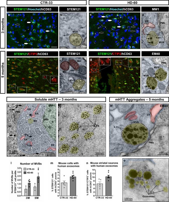 https://cdn.ncbi.nlm.nih.gov/pmc/blobs/7899/11071863/390925d5f905/18_2023_4882_Fig6_HTML.jpg