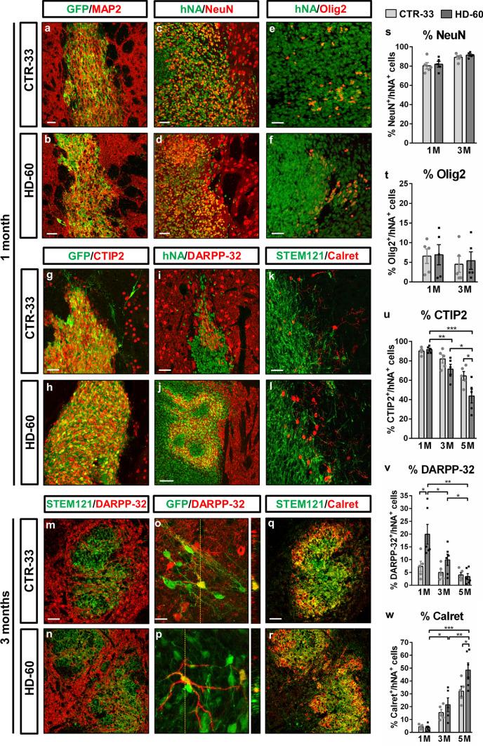 https://cdn.ncbi.nlm.nih.gov/pmc/blobs/7899/11071863/7ecb98d70d3d/18_2023_4882_Fig1_HTML.jpg