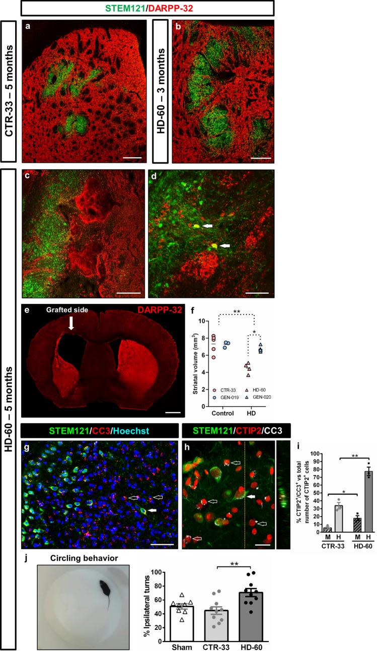 https://cdn.ncbi.nlm.nih.gov/pmc/blobs/7899/11071863/a101437b0958/18_2023_4882_Fig3_HTML.jpg