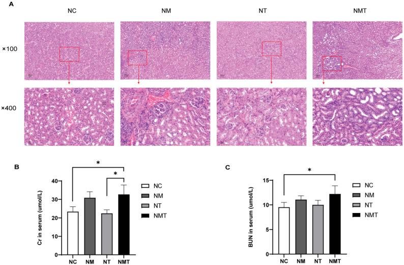 https://cdn.ncbi.nlm.nih.gov/pmc/blobs/7899/12347540/092695a588d0/ijms-26-07441-g002.jpg