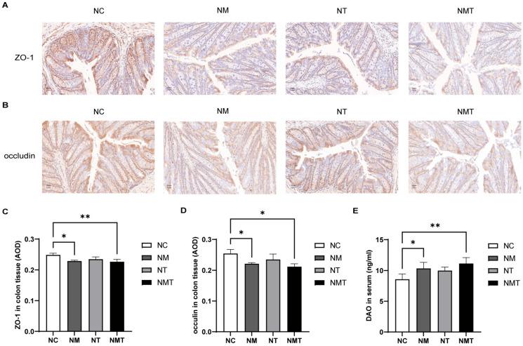https://cdn.ncbi.nlm.nih.gov/pmc/blobs/7899/12347540/2b47a3e69a42/ijms-26-07441-g004.jpg