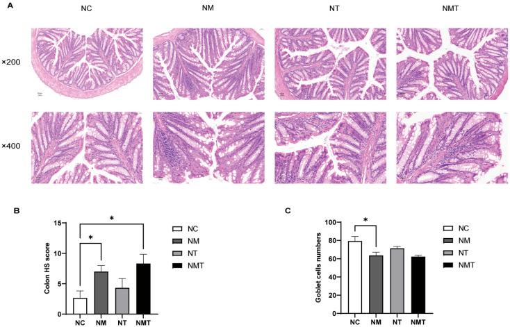 https://cdn.ncbi.nlm.nih.gov/pmc/blobs/7899/12347540/998a88687f0a/ijms-26-07441-g003.jpg