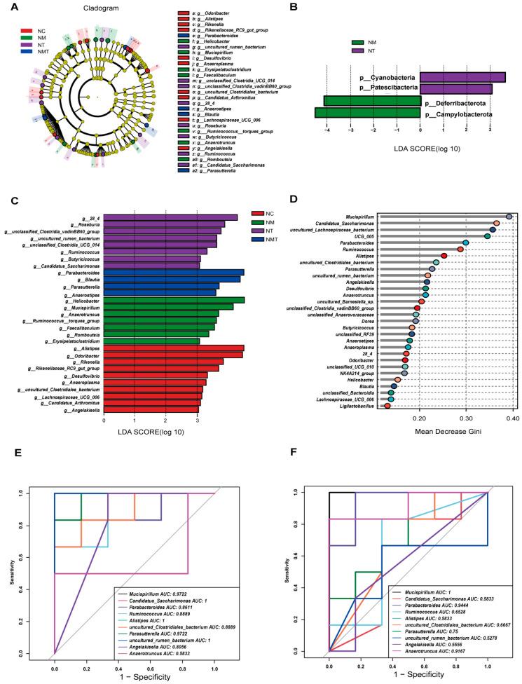 https://cdn.ncbi.nlm.nih.gov/pmc/blobs/7899/12347540/ca6ffb12408e/ijms-26-07441-g008.jpg