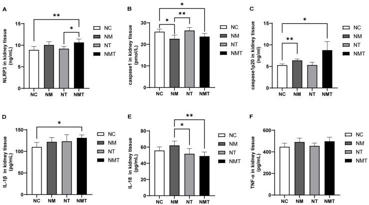 https://cdn.ncbi.nlm.nih.gov/pmc/blobs/7899/12347540/dfd2fab3729a/ijms-26-07441-g006.jpg