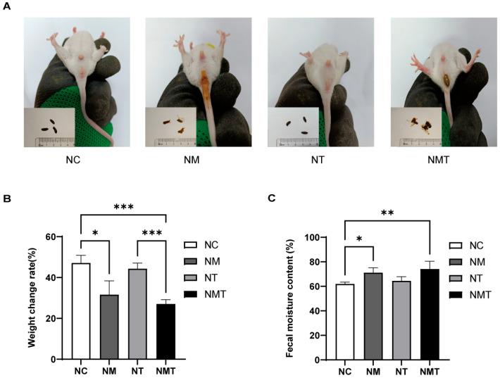 https://cdn.ncbi.nlm.nih.gov/pmc/blobs/7899/12347540/efc42b814add/ijms-26-07441-g001.jpg