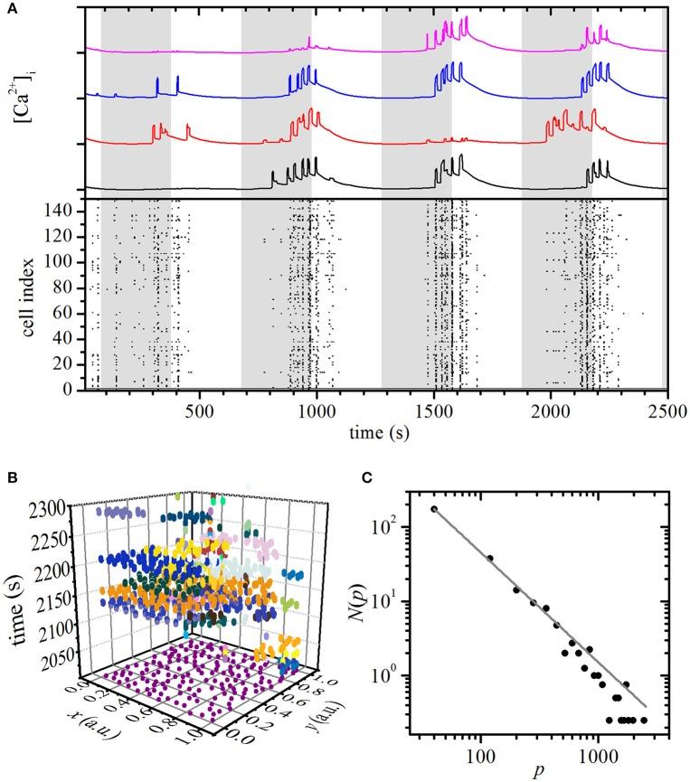 https://cdn.ncbi.nlm.nih.gov/pmc/blobs/789a/5743929/bf23e3b79c61/fphys-08-01106-g0003.jpg