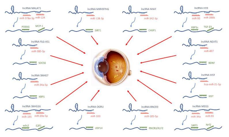 https://cdn.ncbi.nlm.nih.gov/pmc/blobs/789a/9775338/de48ce3aa7e0/biomolecules-12-01774-g004.jpg