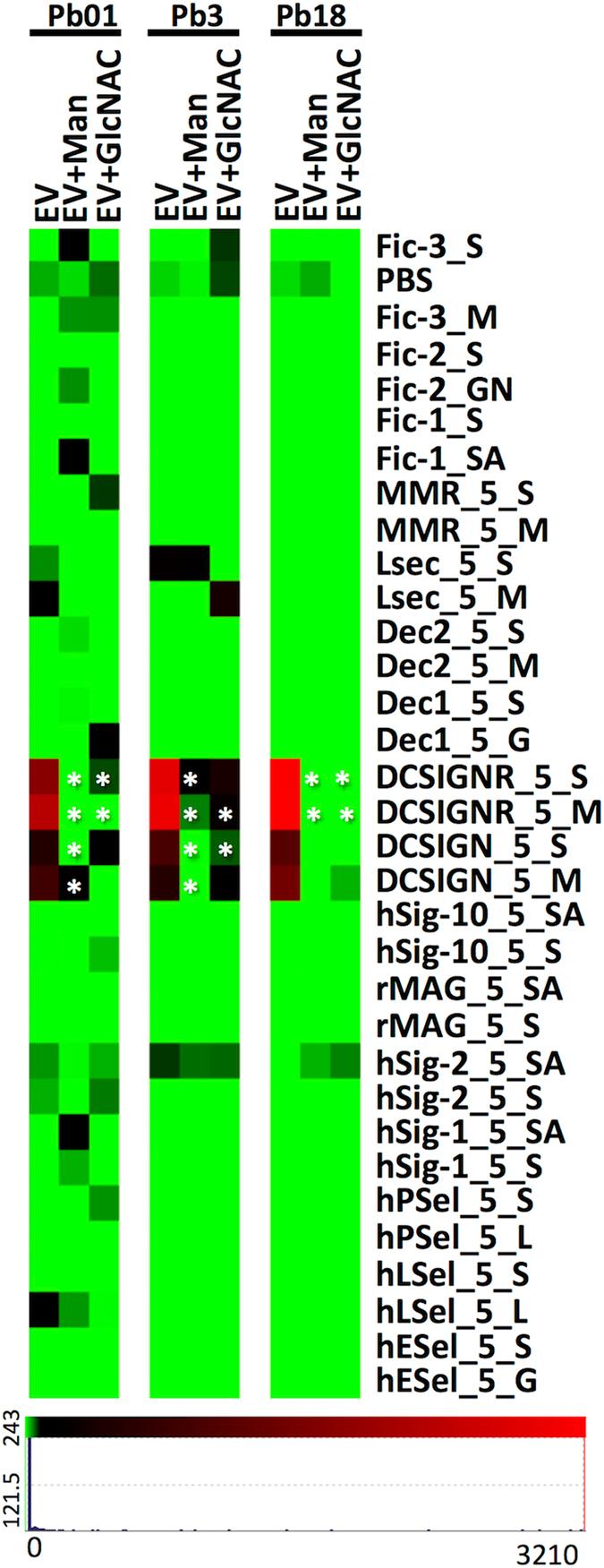https://cdn.ncbi.nlm.nih.gov/pmc/blobs/789c/4585699/093bc3d19867/srep14213-f3.jpg