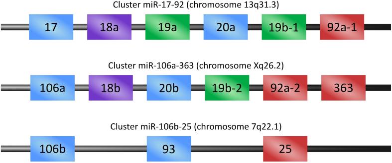 https://cdn.ncbi.nlm.nih.gov/pmc/blobs/789e/6372882/665c469b3424/gr7.jpg
