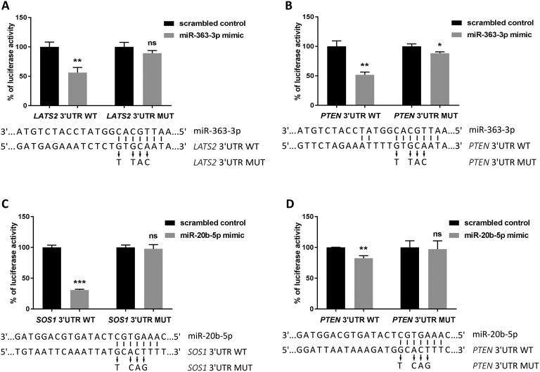 https://cdn.ncbi.nlm.nih.gov/pmc/blobs/789e/6372882/9988ef89a343/gr8.jpg