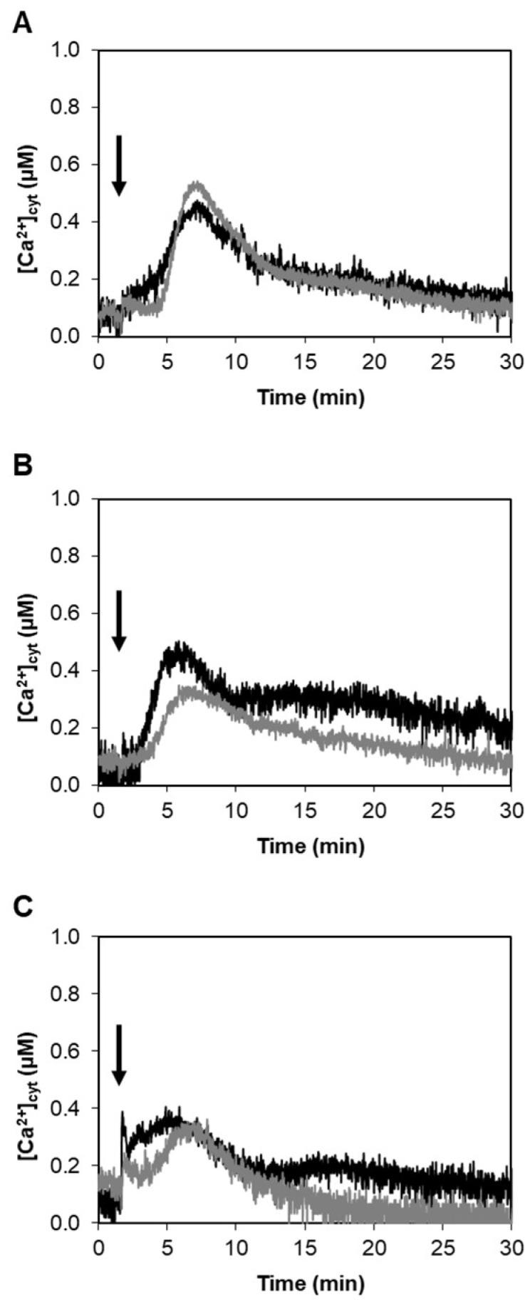 https://cdn.ncbi.nlm.nih.gov/pmc/blobs/789f/6164116/5c88f1bca3f8/ijms-19-02596-g001.jpg