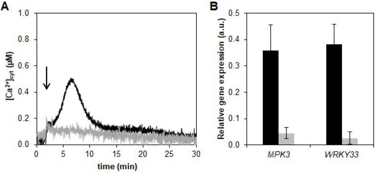 https://cdn.ncbi.nlm.nih.gov/pmc/blobs/789f/6164116/8f5080e97a17/ijms-19-02596-g005.jpg