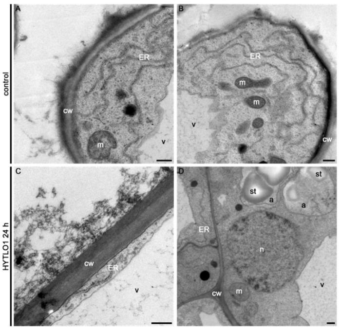 https://cdn.ncbi.nlm.nih.gov/pmc/blobs/789f/6164116/a153dd72ba9e/ijms-19-02596-g007.jpg