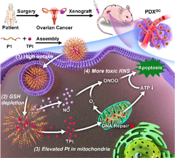 https://cdn.ncbi.nlm.nih.gov/pmc/blobs/78a1/10755721/5e7ed1edc37f/ga1.jpg