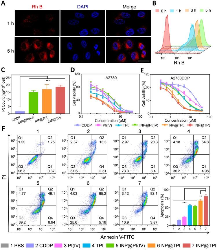 https://cdn.ncbi.nlm.nih.gov/pmc/blobs/78a1/10755721/a17398a6c05a/gr2.jpg