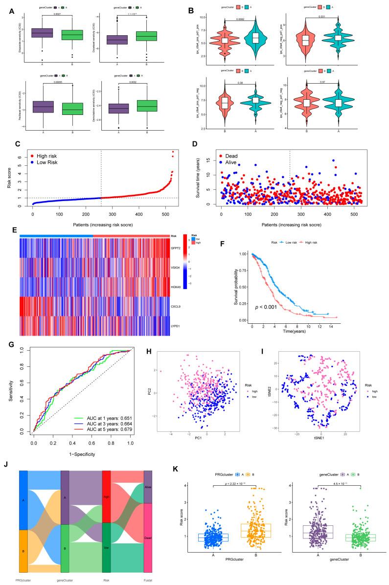 https://cdn.ncbi.nlm.nih.gov/pmc/blobs/78a1/9913847/8d3943d09037/cancers-15-00579-g005.jpg