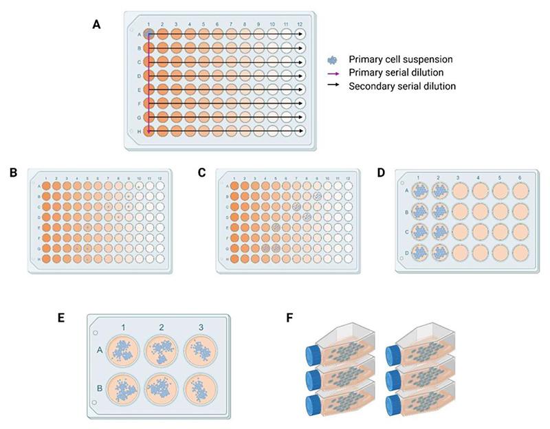 https://cdn.ncbi.nlm.nih.gov/pmc/blobs/78a2/7617923/d9c1231184cd/EMS206779-f001.jpg