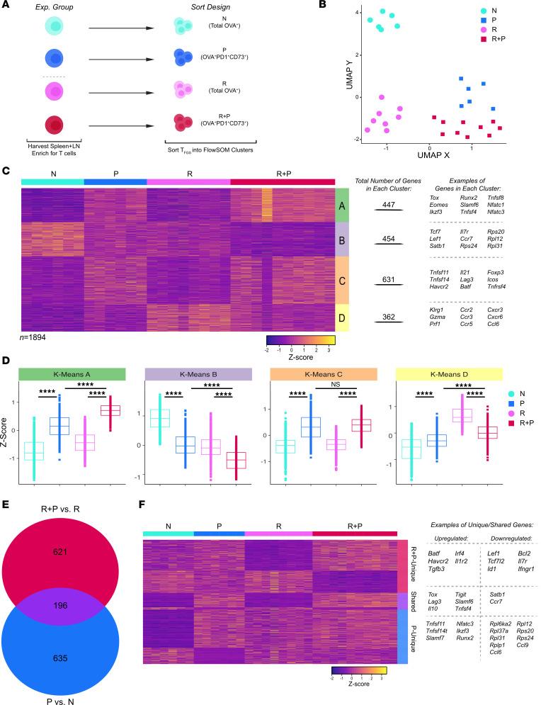 https://cdn.ncbi.nlm.nih.gov/pmc/blobs/78a3/11383355/26d5711199d2/jciinsight-9-176381-g145.jpg