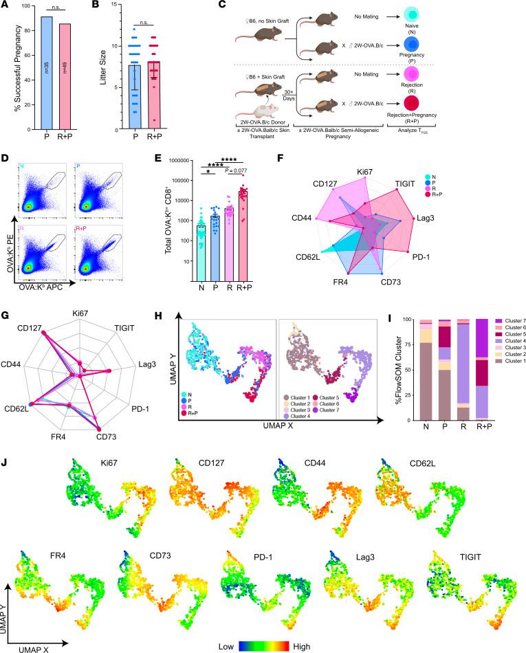 https://cdn.ncbi.nlm.nih.gov/pmc/blobs/78a3/11383355/8089797d6d0d/jciinsight-9-176381-g143.jpg