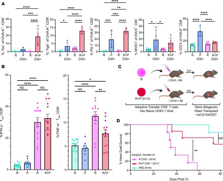 https://cdn.ncbi.nlm.nih.gov/pmc/blobs/78a3/11383355/acd98381cae6/jciinsight-9-176381-g149.jpg