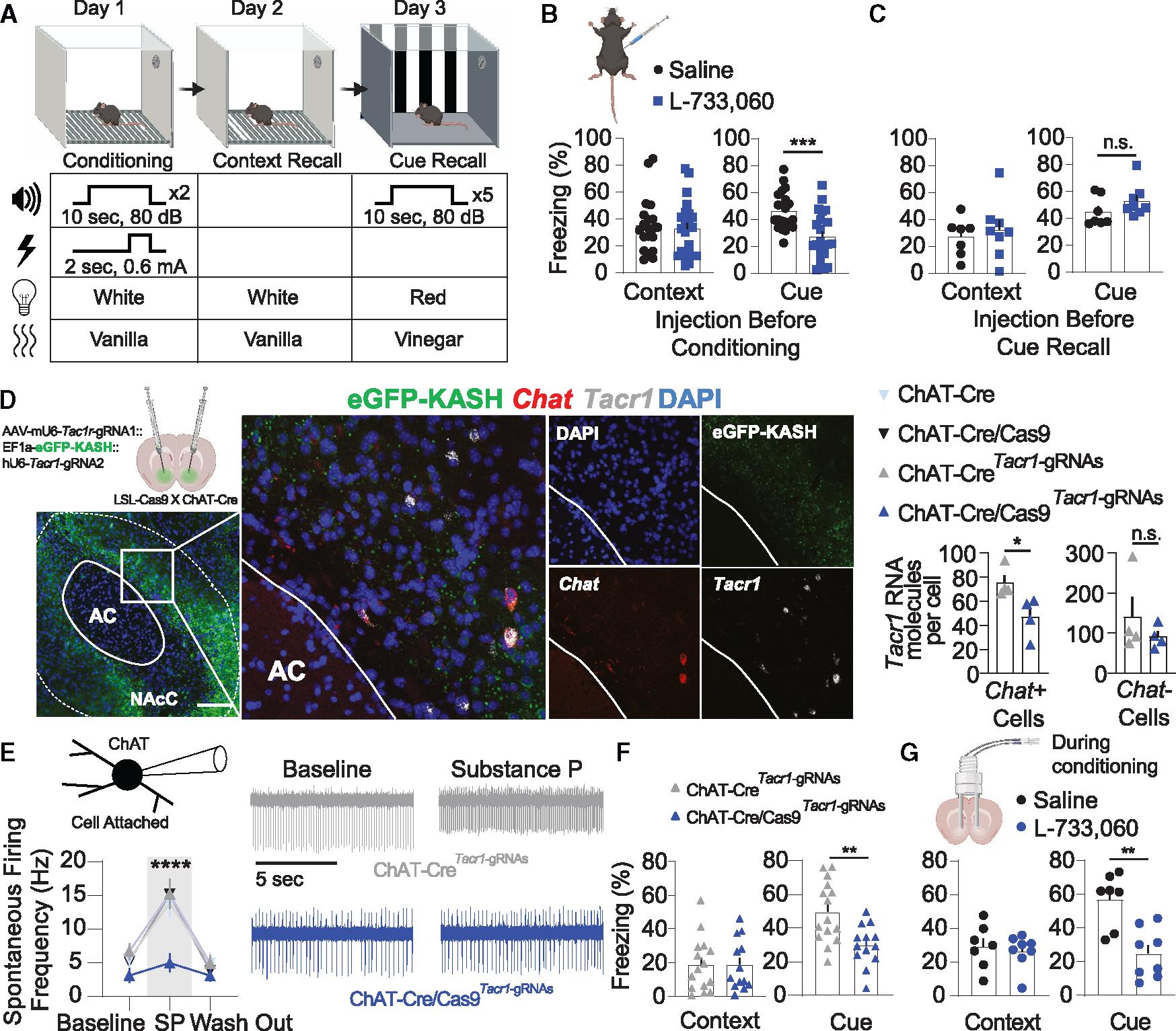 https://cdn.ncbi.nlm.nih.gov/pmc/blobs/78a4/10795009/51bdd642df61/nihms-1954770-f0002.jpg