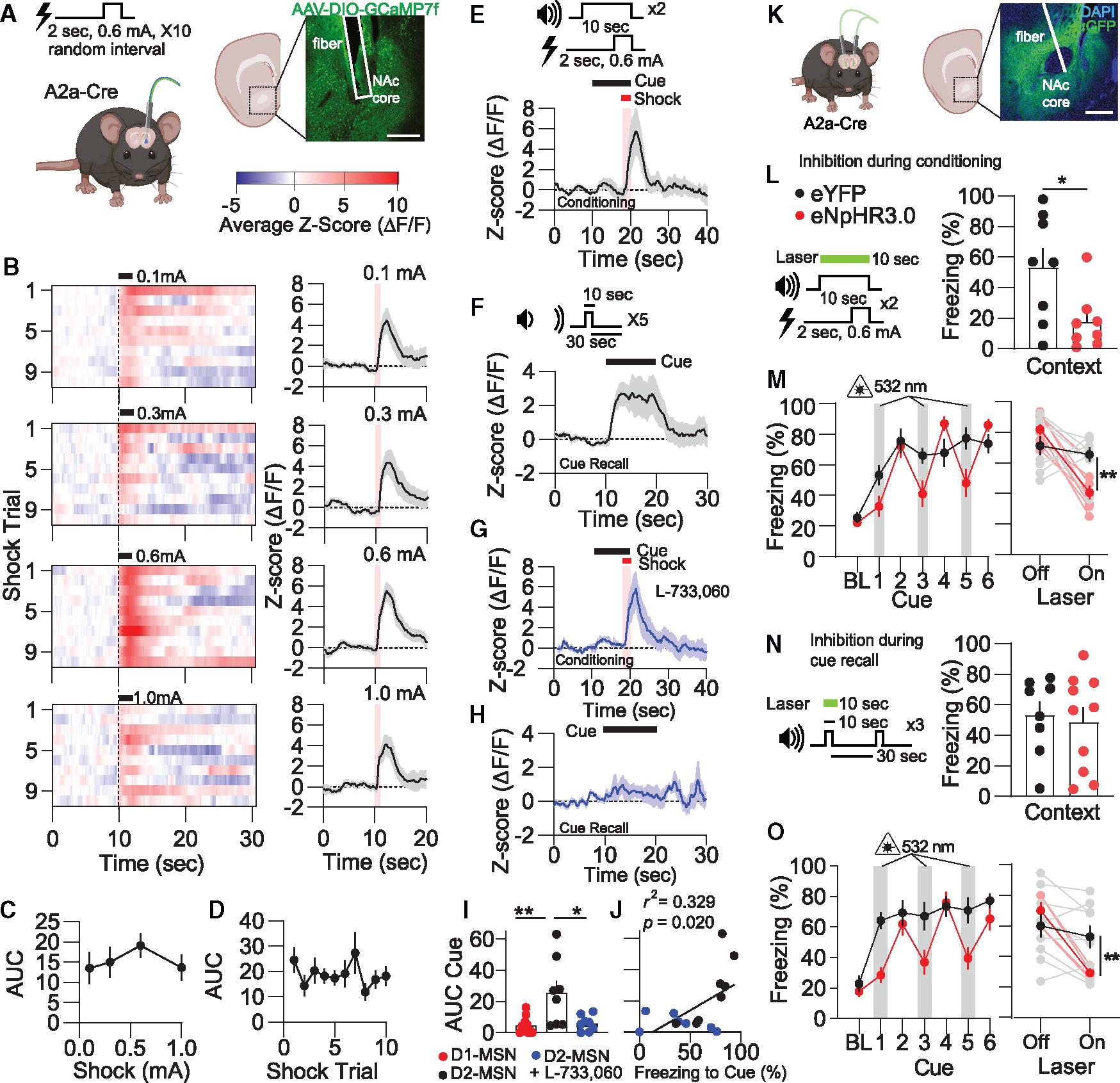 https://cdn.ncbi.nlm.nih.gov/pmc/blobs/78a4/10795009/81be9e8c768a/nihms-1954770-f0007.jpg